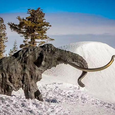La Vista Blanc Apartment Mammoth Lakes Luaran gambar